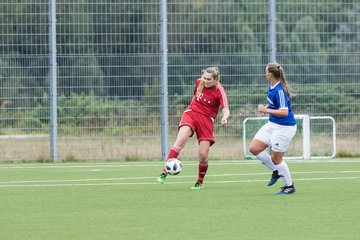 Bild 272 - F FSG Kaltenkirchen - SV Wahlstedt : Ergebnis: 6:1
